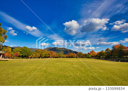 紅葉のある風景 紅葉のある風景 133099834