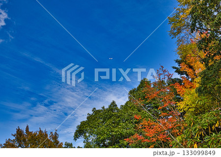 紅葉のある風景 133099849