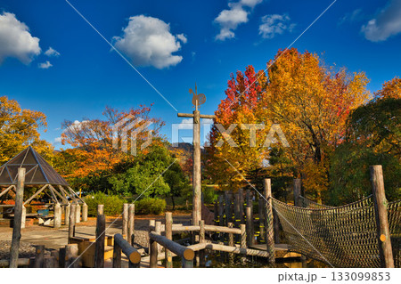 紅葉のある風景 紅葉のある風景 133099853