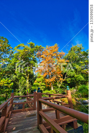 紅葉のある風景 133099858