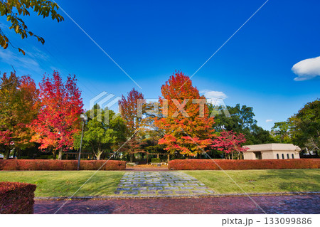 紅葉のある風景 紅葉のある風景 133099886