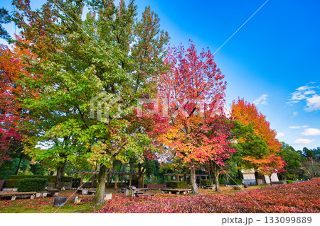 紅葉のある風景 133099889