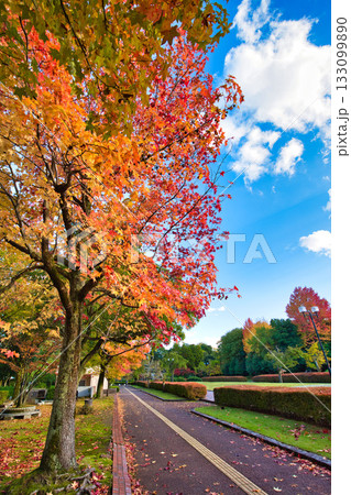 紅葉のある風景 紅葉のある風景 133099890