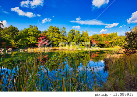紅葉のある風景 紅葉のある風景 133099915