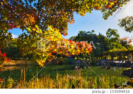 紅葉のある風景 紅葉のある風景 133099916