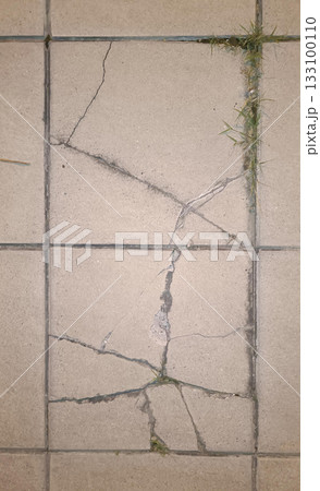 Cracked concrete tile floor, damaged pavement, broken grout, weed growth, urban decay, rough texture, gritty mood 133100110