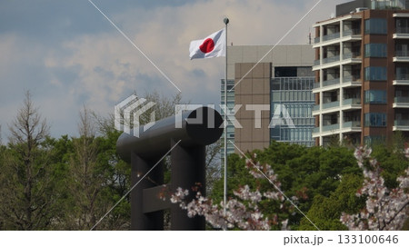 靖国神社大鳥居と皇居の桜　日の丸 133100646