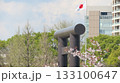 靖国神社大鳥居と日の丸　桜 133100647