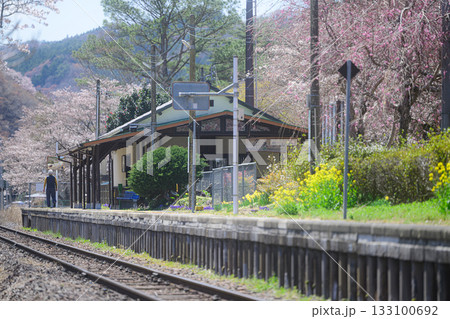 桜に囲まれた駅 矢祭山駅 春の風景 桜に囲まれた駅 矢祭山駅 春の風景 133100692