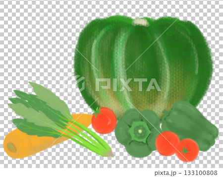 綠色和黃色蔬菜的插圖:南瓜、胡蘿蔔、菠菜、櫻桃番茄和甜椒 綠色和黃色蔬菜的插圖:南瓜、胡蘿蔔、菠菜、櫻桃番茄和甜椒 133100808