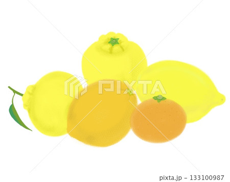 シンプルな柑橘類、レモン、ゆず、みかんのイラスト 133100987