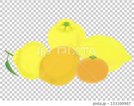 シンプルな柑橘類、レモン、ゆず、みかんのイラスト 133100987