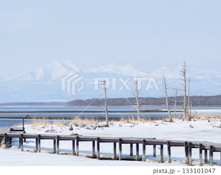 冬の野付半島のトドワラと木道 133101047