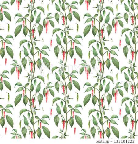 Watercolor hot Chili pepper seamless pattern. Plant with red end green pepper pods, flowers and leaves. Hand drawn watercolor illustration. Spicy vegetables for fabric on Isolated white background 133101222