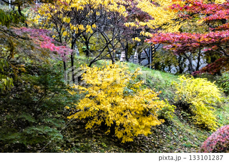 岩手県不来方城跡公園の深まる秋 133101287