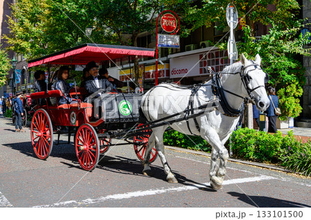 横浜市関内　文化の日　馬車道まつり　馬車道商店街　イギリス製馬車の試乗会 133101500