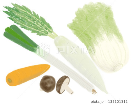 鍋物野菜のイラスト 133101511