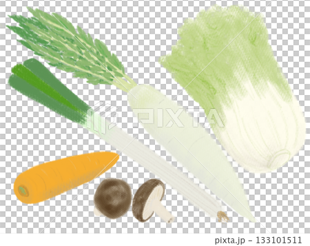 鍋物野菜のイラスト 133101511