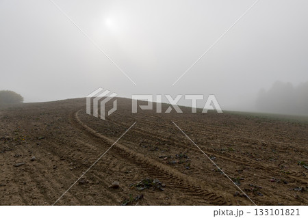 an agricultural field plowed in autumn for spring sowing, cloudy weather in the autumn season, fog during large temperature fluctuations in autumn on the agricultural field an agricultural field plowed in autumn for spring sowing, cloudy weather in the autumn season, fog during large temperature fluctuations in autumn on the agricultural field 133101821