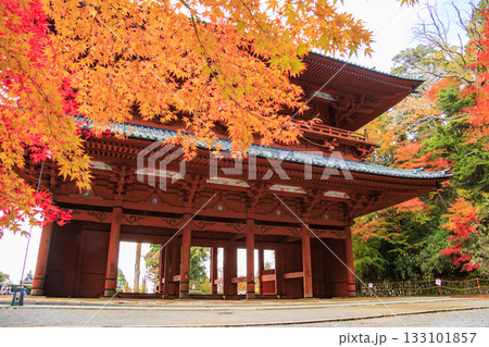 紅葉真っ盛りの高野山 紅葉真っ盛りの高野山 133101857