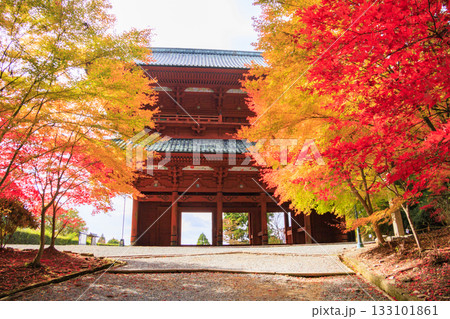 紅葉真っ盛りの高野山 紅葉真っ盛りの高野山 133101861