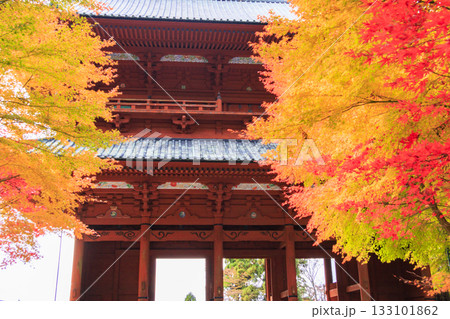紅葉真っ盛りの高野山 紅葉真っ盛りの高野山 133101862