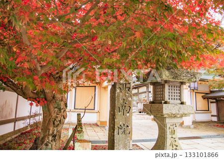紅葉真っ盛りの高野山 133101866