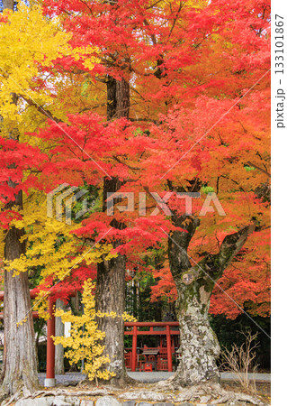 紅葉真っ盛りの高野山 紅葉真っ盛りの高野山 133101867