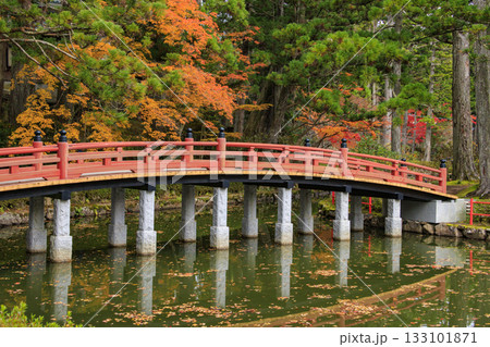 紅葉真っ盛りの高野山 133101871