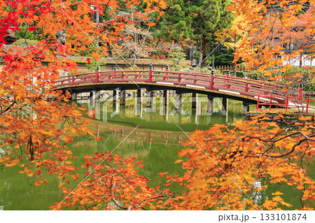 紅葉真っ盛りの高野山 133101874