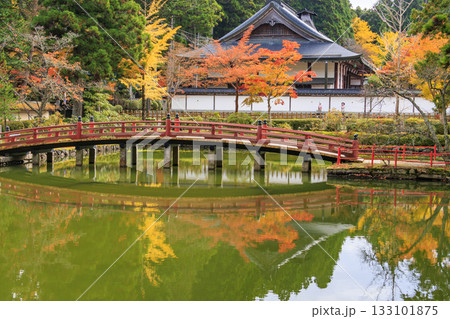 紅葉真っ盛りの高野山 133101875