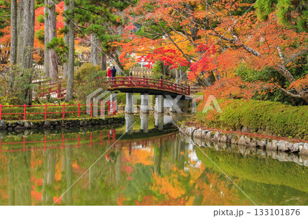 紅葉真っ盛りの高野山 133101876