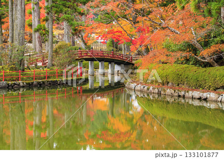 紅葉真っ盛りの高野山 133101877