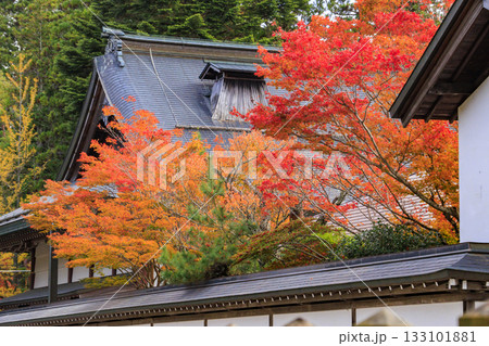 紅葉真っ盛りの高野山 133101881