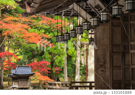 紅葉真っ盛りの高野山 紅葉真っ盛りの高野山 133101889