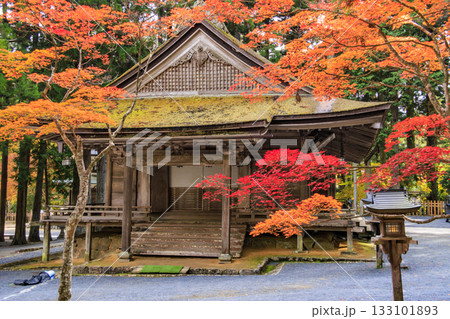 紅葉真っ盛りの高野山 紅葉真っ盛りの高野山 133101893