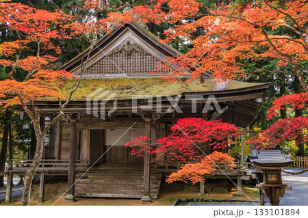 紅葉真っ盛りの高野山 133101894