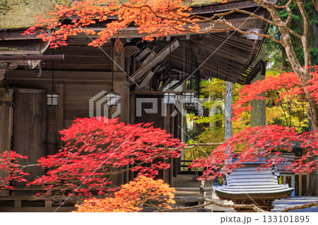 紅葉真っ盛りの高野山 133101895