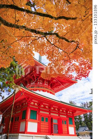 紅葉真っ盛りの高野山 133101896