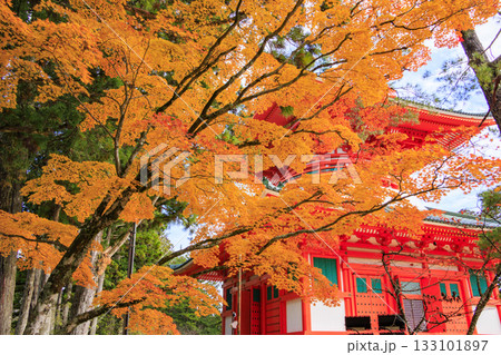 紅葉真っ盛りの高野山 133101897