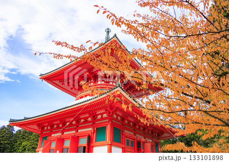 紅葉真っ盛りの高野山 133101898