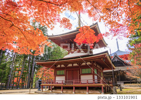 紅葉真っ盛りの高野山 133101901