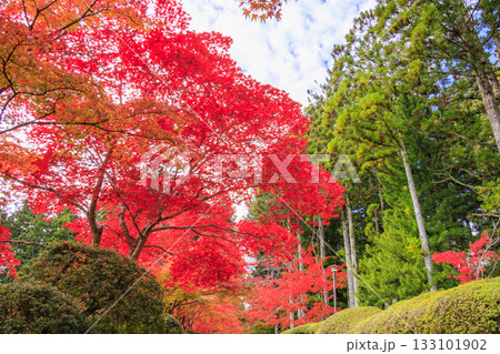 紅葉真っ盛りの高野山 133101902