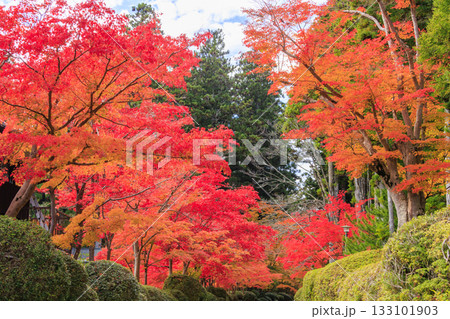 紅葉真っ盛りの高野山 133101903
