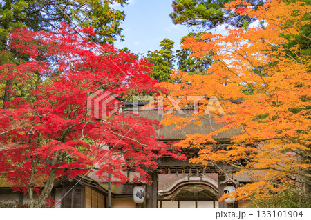 紅葉真っ盛りの高野山 133101904