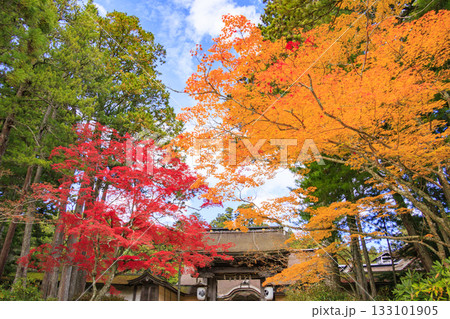 紅葉真っ盛りの高野山 133101905
