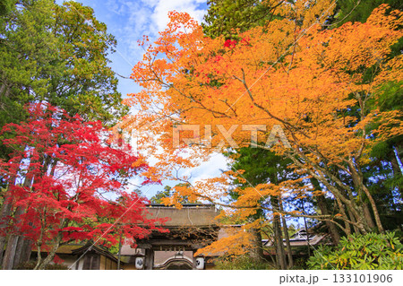 紅葉真っ盛りの高野山 133101906