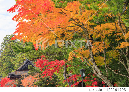 紅葉真っ盛りの高野山 133101908
