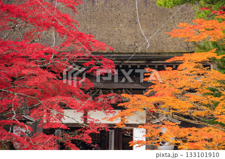 紅葉真っ盛りの高野山 133101910