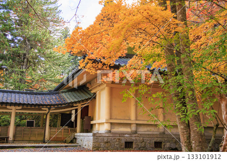 紅葉真っ盛りの高野山 133101912